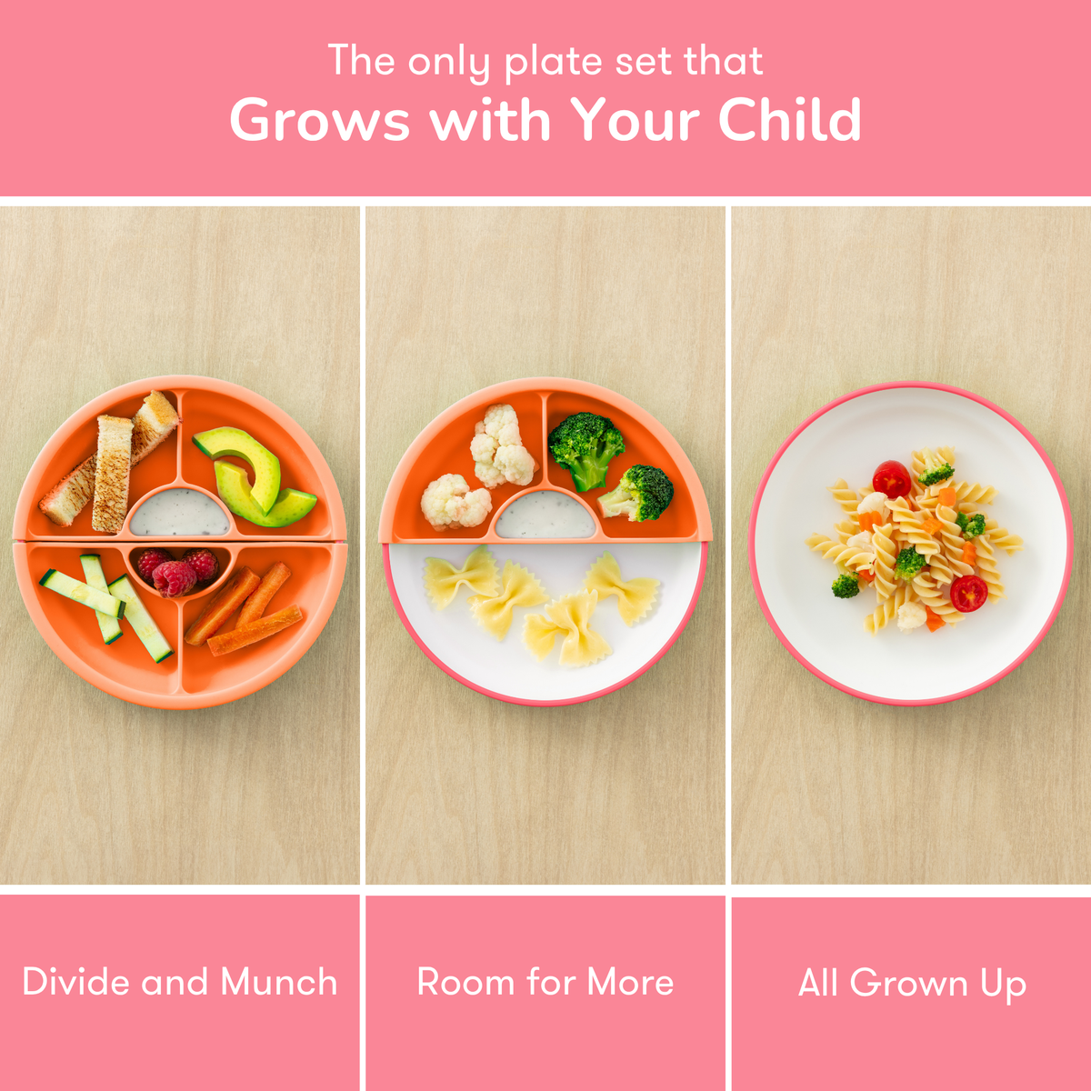 OMIE Easy Scoop Plate