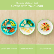 OMIE Easy Scoop Plate