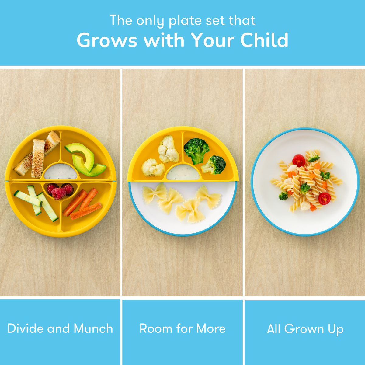 OMIE Easy Scoop Plate