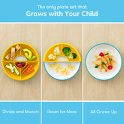 OMIE Easy Scoop Plate