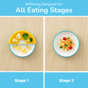 OMIE Easy Scoop Plate