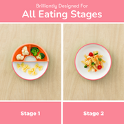 OMIE Easy Scoop Plate