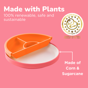 OMIE Easy Scoop Plate